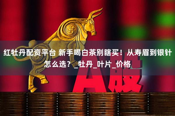 红牡丹配资平台 新手喝白茶别瞎买！从寿眉到银针怎么选？_牡丹_叶片_价格