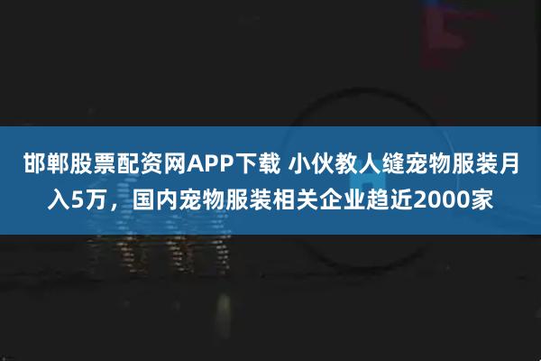 邯郸股票配资网APP下载 小伙教人缝宠物服装月入5万，国内宠物服装相关企业趋近2000家