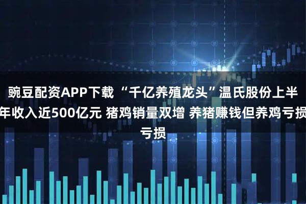 豌豆配资APP下载 “千亿养殖龙头”温氏股份上半年收入近500亿元 猪鸡销量双增 养猪赚钱但养鸡亏损